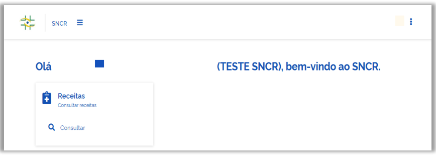 Função Consultar no portal SNCR