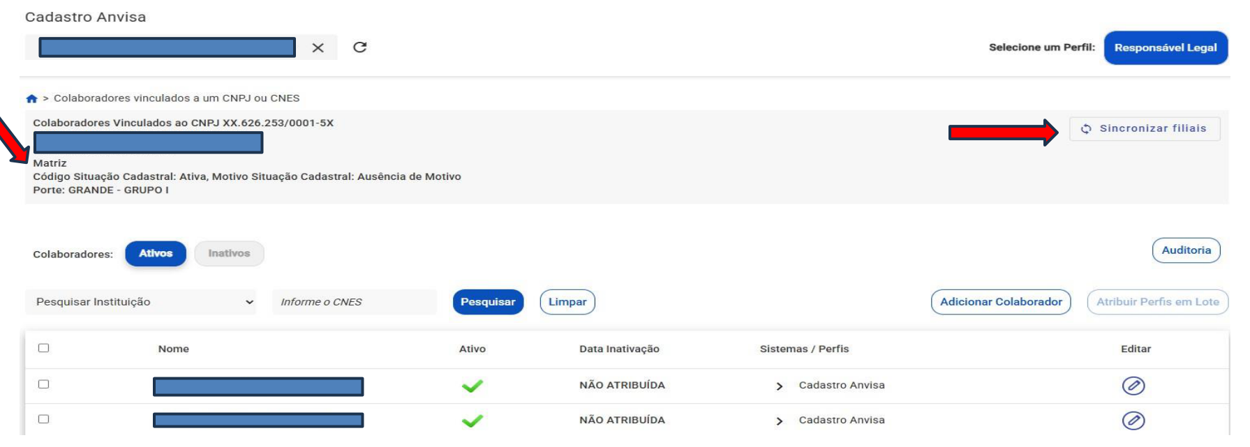 Botão Sincronizar filiais na matriz