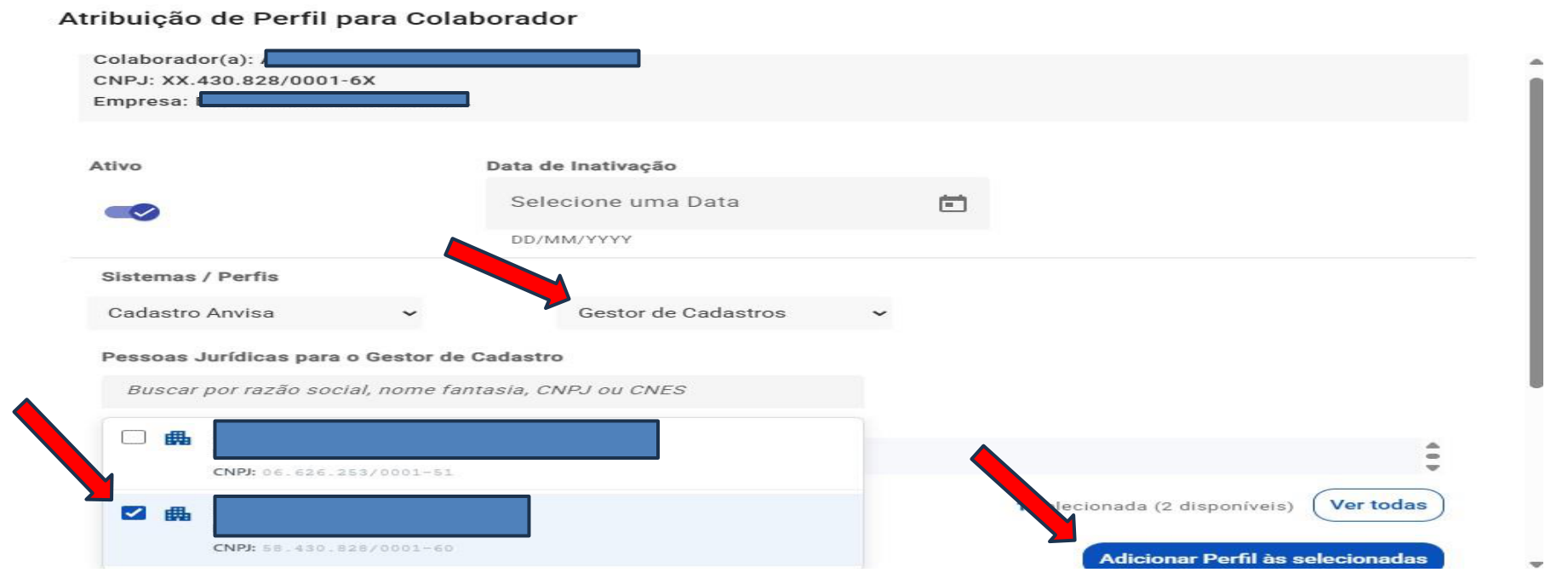 Atribuição do perfil Gestor de Cadastro