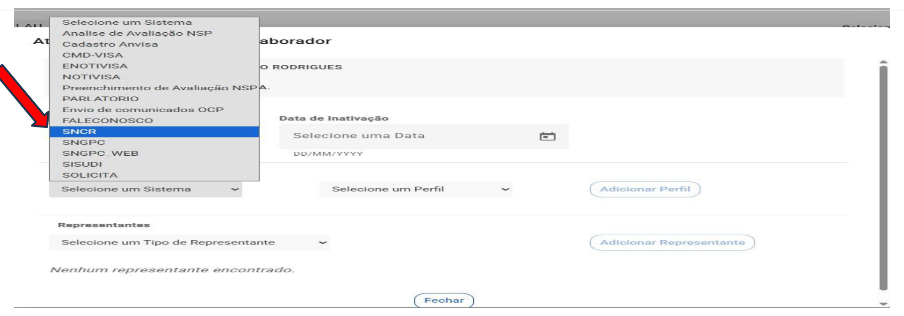 Seleção do sistema SNCR